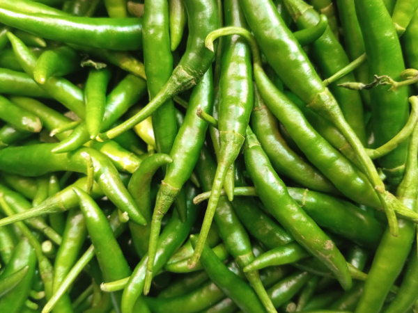 Fresh Green Chilli Export Grade from India