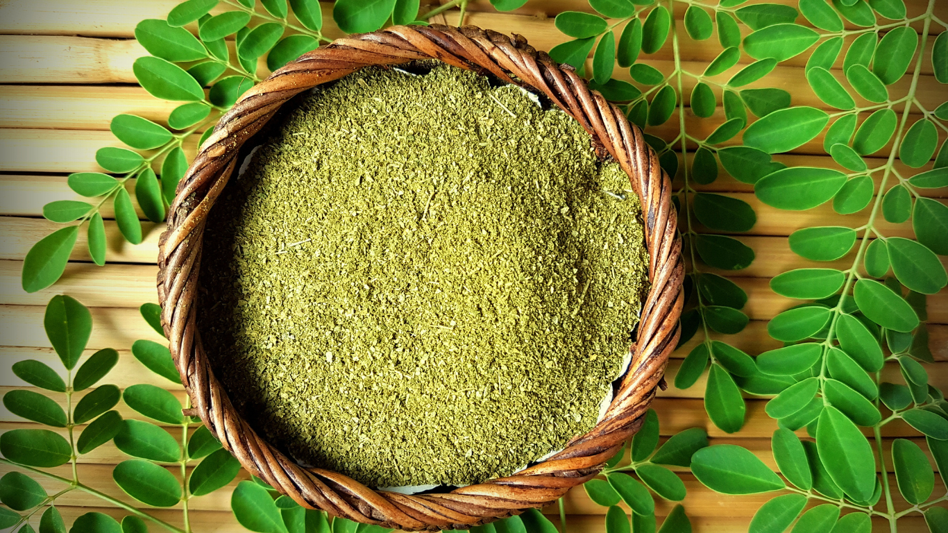 Moringa Powder Exporter India
