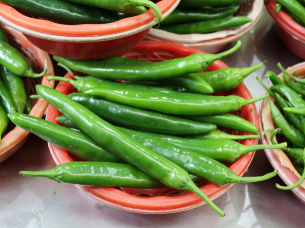 Premium Green Chilli Export Grade - Disha Global Trades